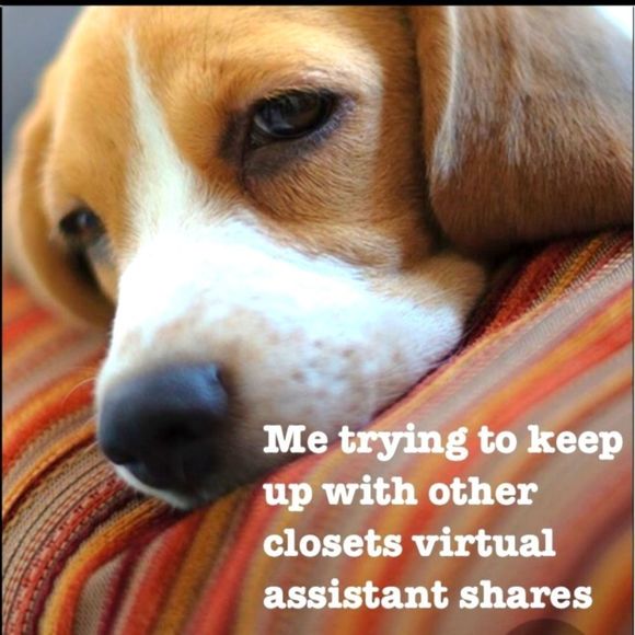 Poshmark Humor - Picture 9 of 10